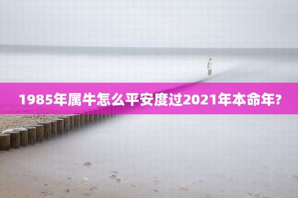 1985年属牛怎么平安度过2021年本命年?