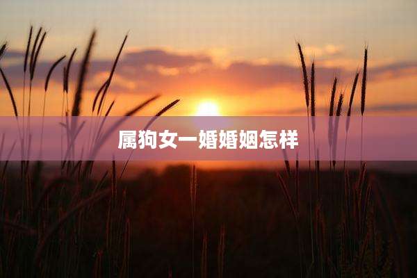 属狗女一婚婚姻怎样