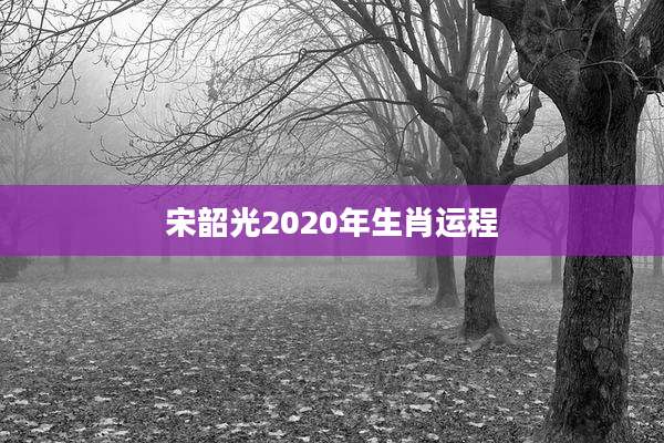 宋韶光2020年生肖运程