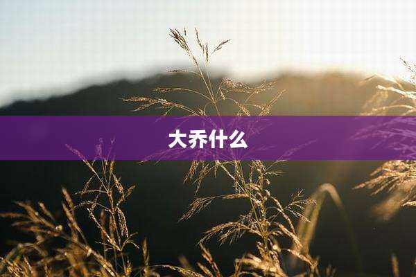 大乔什么