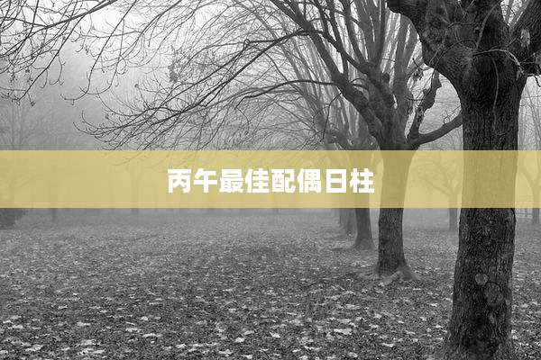 丙午最佳配偶日柱