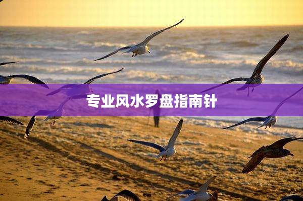 专业风水罗盘指南针