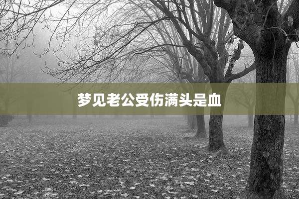 梦见老公受伤满头是血