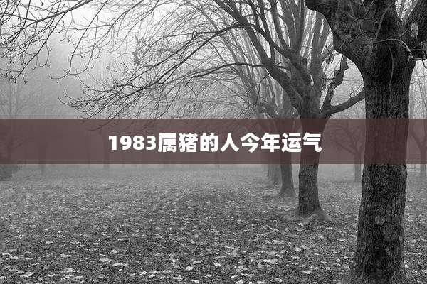 1983属猪的人今年运气