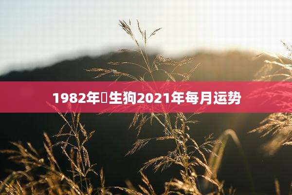 1982年岀生狗2021年每月运势