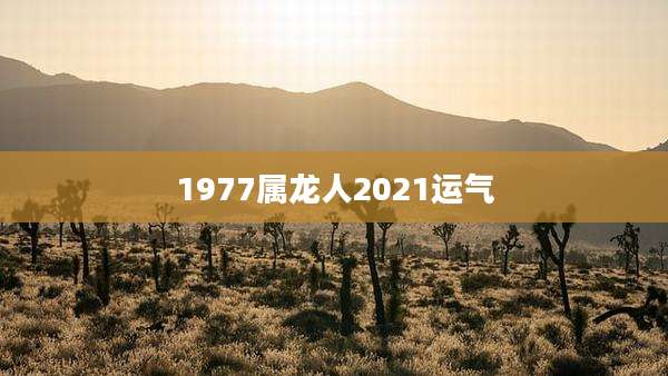 1977属龙人2021运气