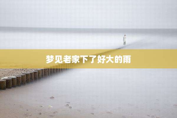 梦见老家下了好大的雨
