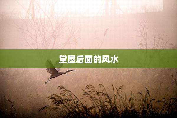 堂屋后面的风水