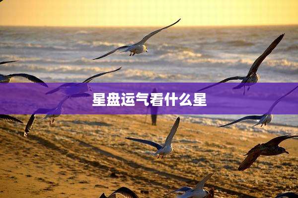 星盘运气看什么星