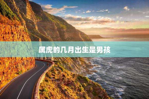 属虎的几月出生是男孩
