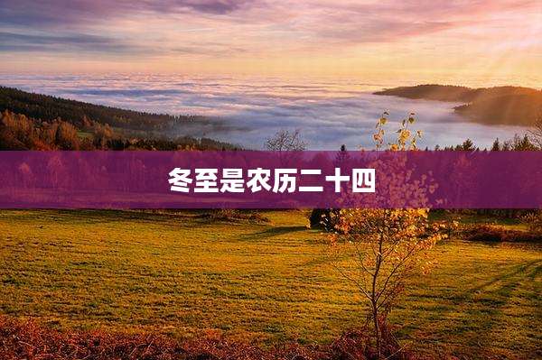 冬至是农历二十四