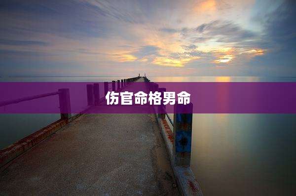 伤官命格男命
