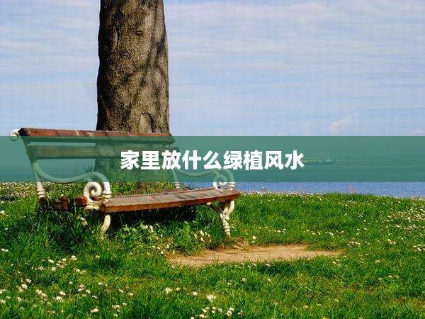 家里放什么绿植风水