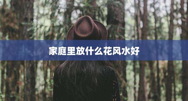 家庭里放什么花风水好