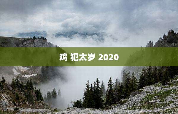鸡 犯太岁 2020