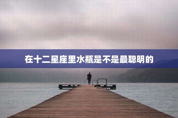 在十二星座里水瓶是不是最聪明的