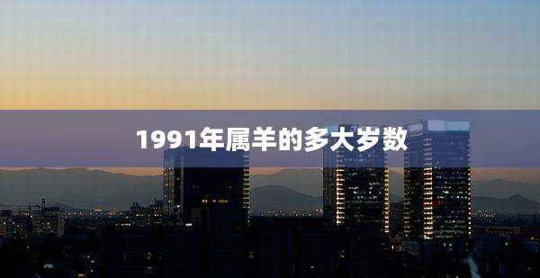 1991年属羊的多大岁数