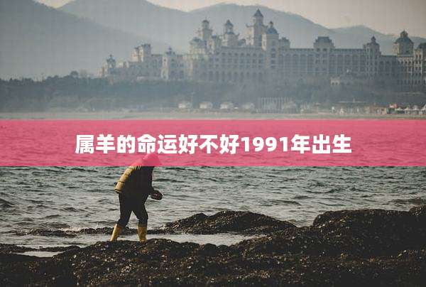 属羊的命运好不好1991年出生