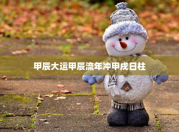 甲辰大运甲辰流年冲甲戌日柱