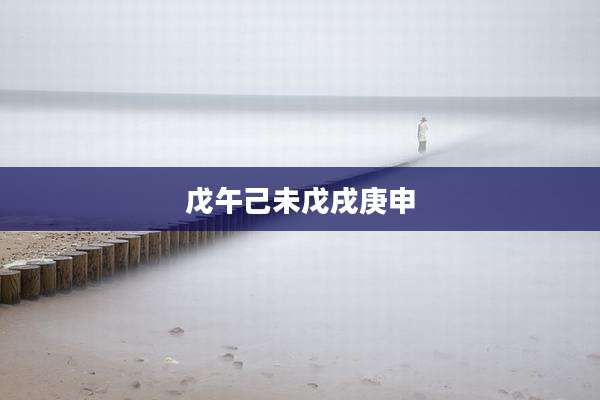 戊午己未戊戌庚申