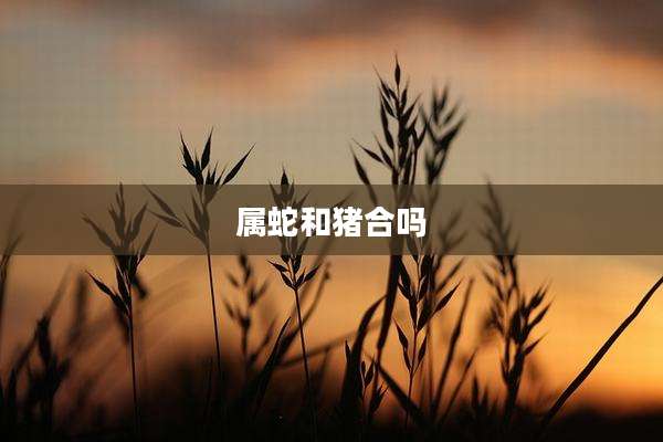 属蛇和猪合吗