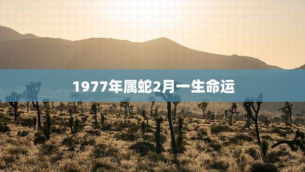 1977年属蛇2月一生命运