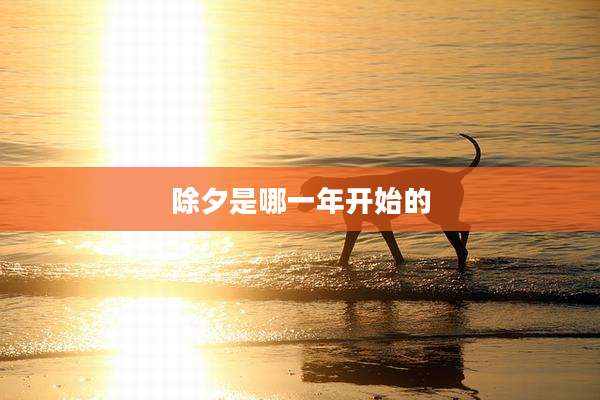 除夕是哪一年开始的