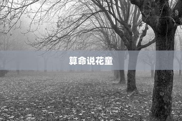 算命说花童