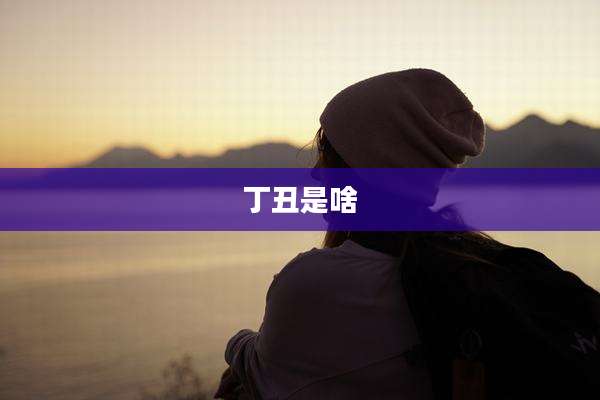 丁丑是啥