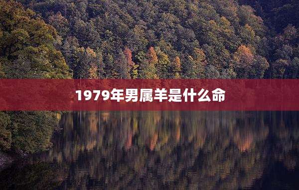 1979年男属羊是什么命