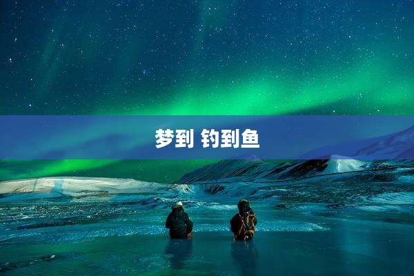 梦到 钓到鱼