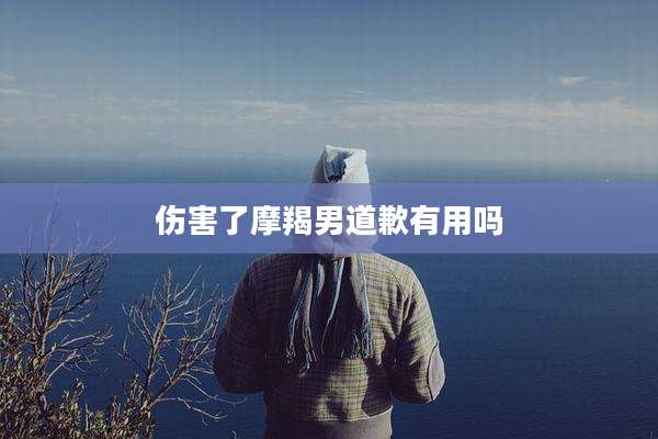 伤害了摩羯男道歉有用吗