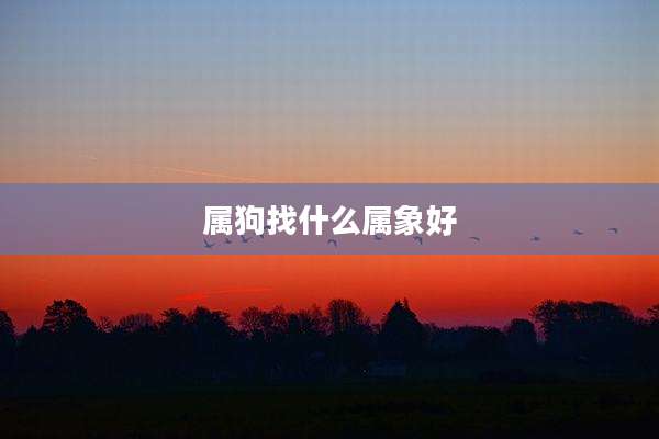 属狗找什么属象好