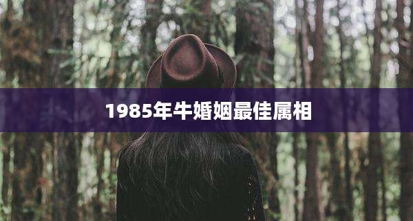 1985年牛婚姻最佳属相