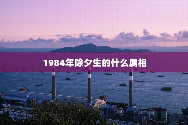 1984年除夕生的什么属相