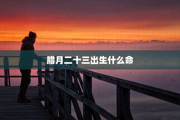 腊月二十三出生什么命