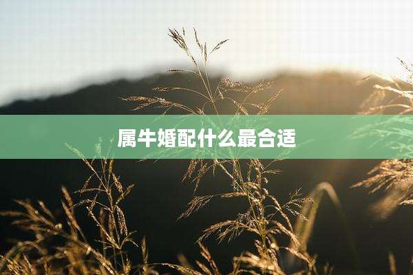 属牛婚配什么最合适