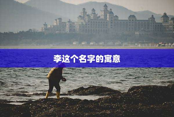 李这个名字的寓意