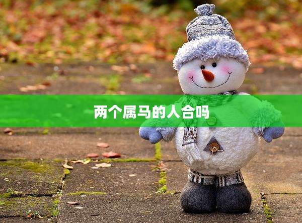两个属马的人合吗