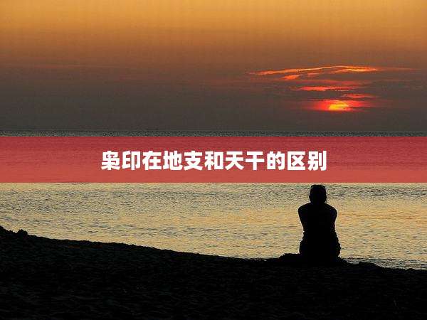 枭印在地支和天干的区别