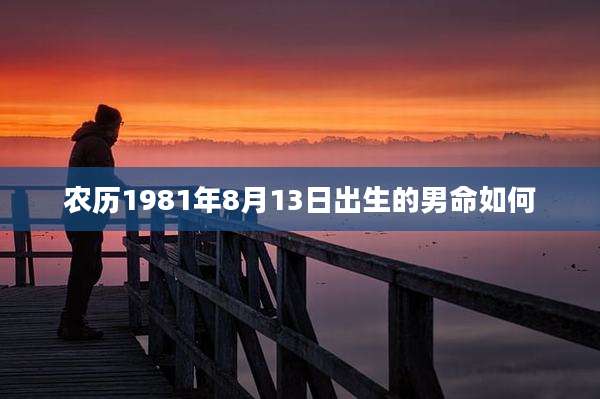 农历1981年8月13日出生的男命如何