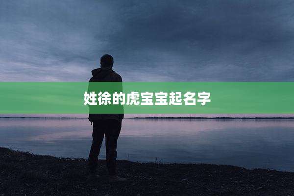 姓徐的虎宝宝起名字