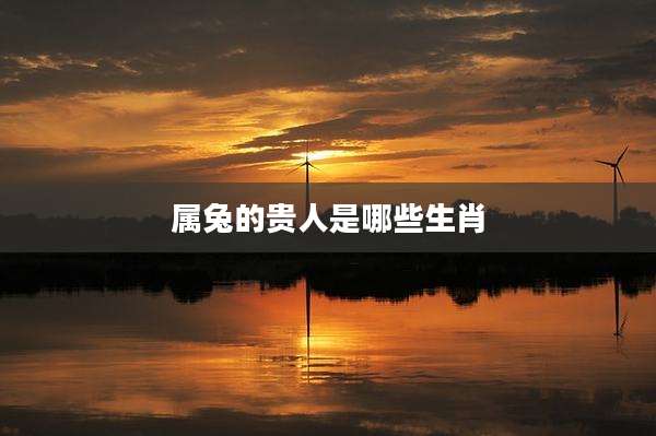 属兔的贵人是哪些生肖