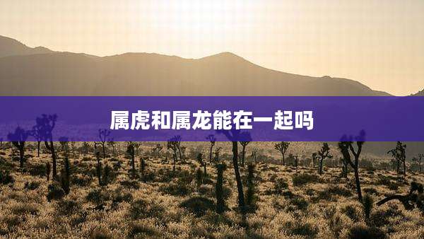 属虎和属龙能在一起吗