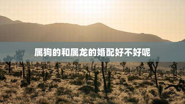 属狗的和属龙的婚配好不好呢