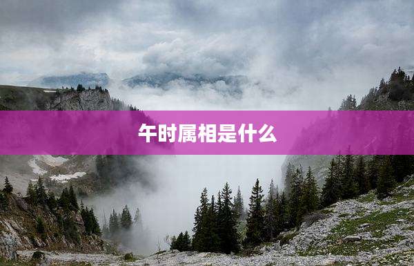 午时属相是什么