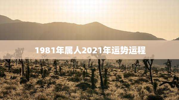 1981年属人2021年运势运程