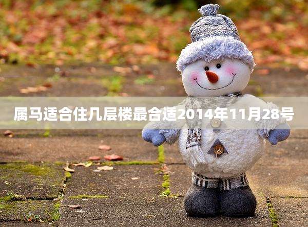 属马适合住几层楼最合适2014年11月28号