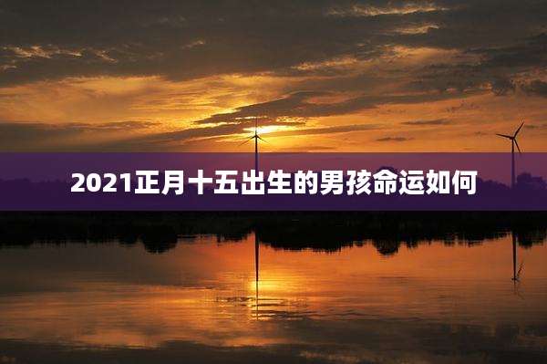 2021正月十五出生的男孩命运如何