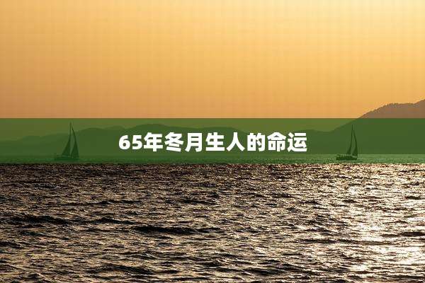65年冬月生人的命运